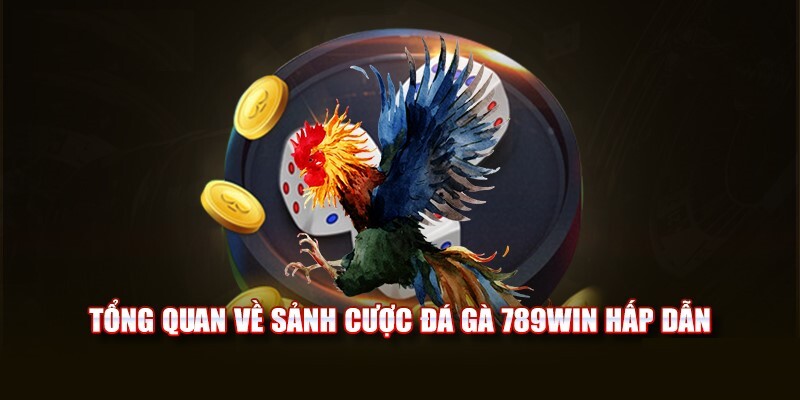 Thông tin cơ bản về nền tảng đá gà 789Win trực tuyến