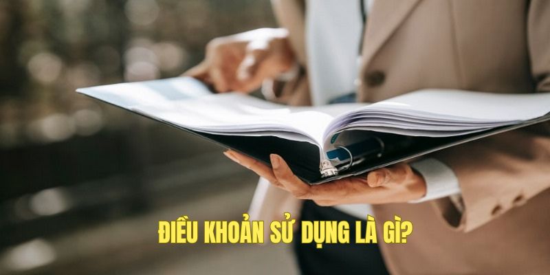 Điều khoản sử dụng của 789WIN là gì?